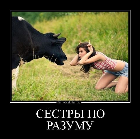 Вот это зверь невиданный.. Расскажу на ферме подруге буренке.