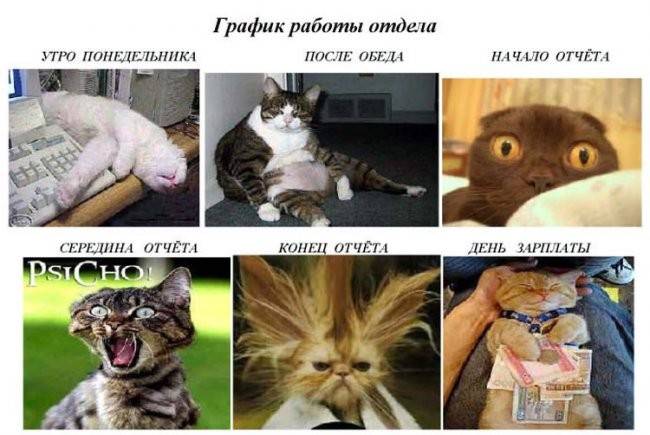 прикольные картинки