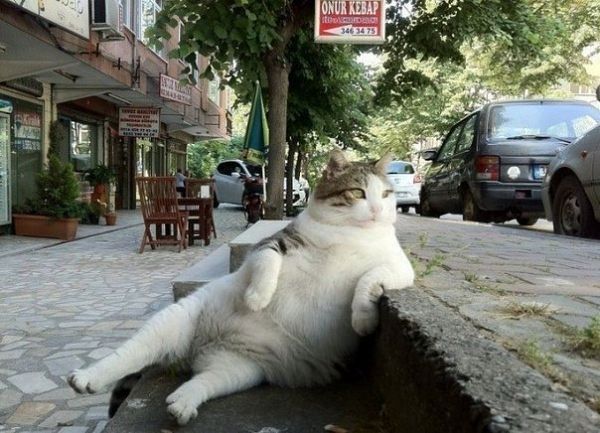 Это мой район.