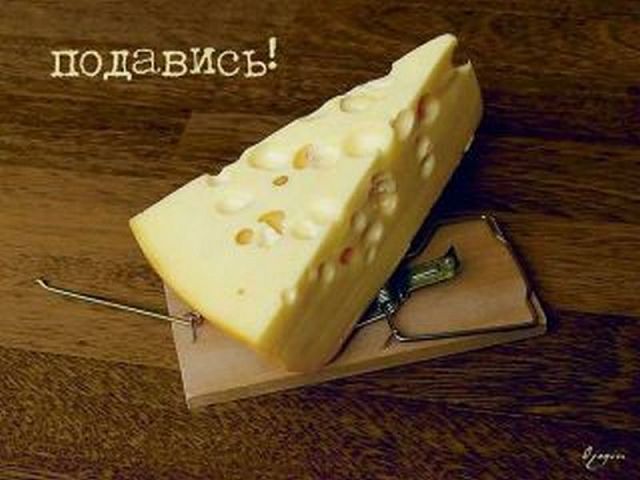 Мышка съест - в норку не пролезет, тогда поймаем.