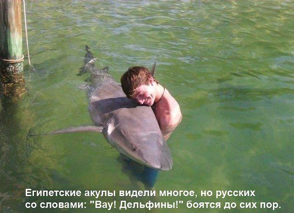 Гупик вырос...??? Сейчас обед...???