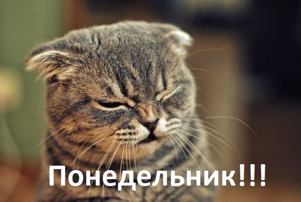 Где я, кто я?!