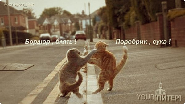 Глобальные споры