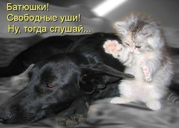 Кого-то мне это напоминает ))