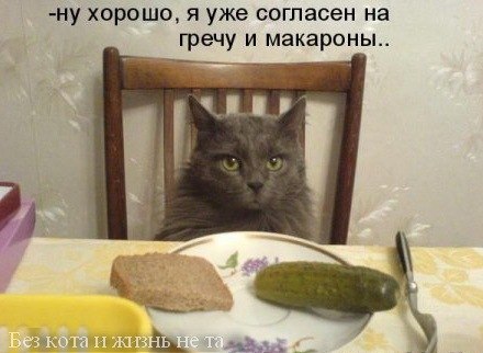 А, что будем закусывать?