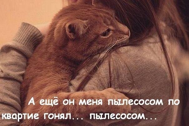 Ура!!! Дядя Федор вернулся!!!