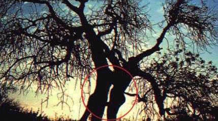 просто фотка