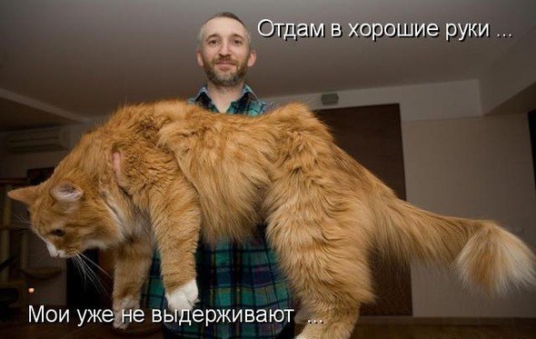 - Папаня! - Сынок! Ну вот, а то "мама-мама"!