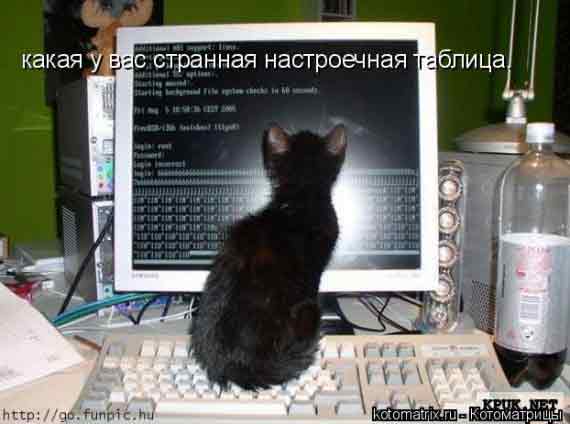 НАПИЛСЯ ПЕПСИКОЛЫ