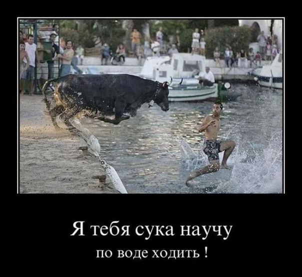 А ты сначала догони!