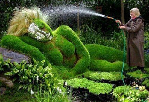 Спящая красавица.