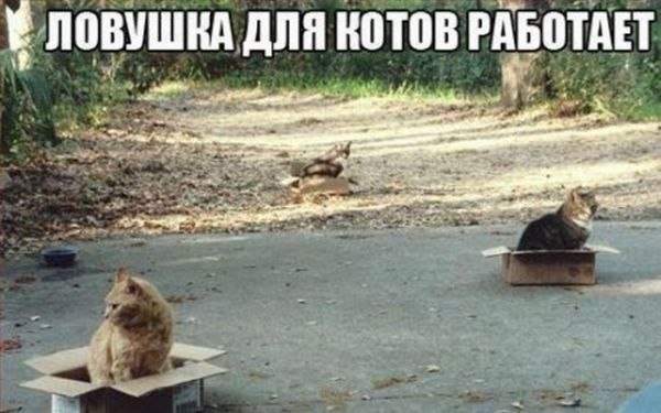 Это работает!