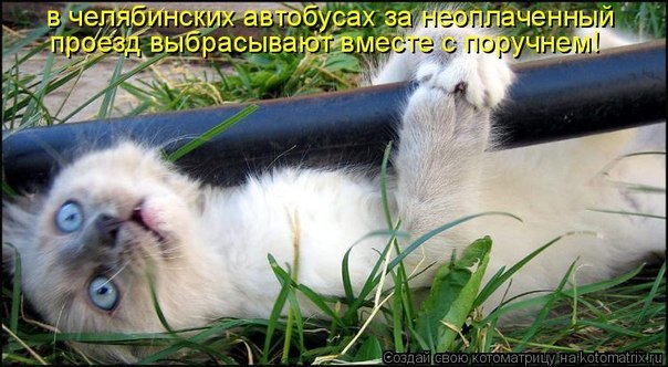 Вот как ведут себя суровые челябинские контролеры!