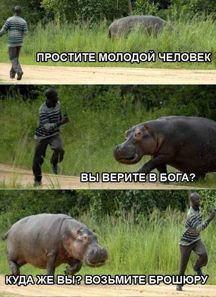 Отстань, я атеист!