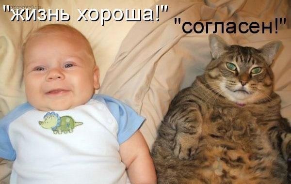 А хорошо жить еще лучше!