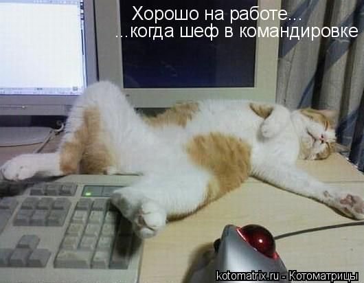 кто не спит ночью тот досыпает на работе