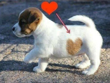 Влюблен по жизни