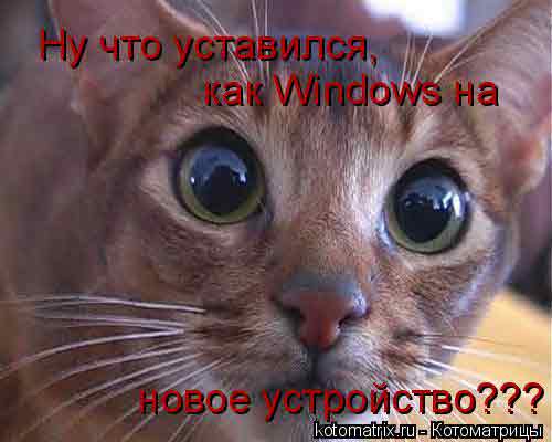 е-моу! п.pн0канал для животных придумали!!!