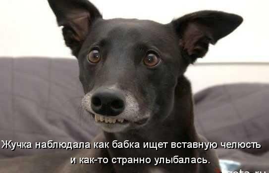 Авось не догадается.