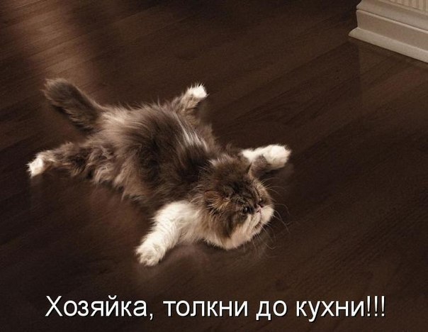 Вершина лени