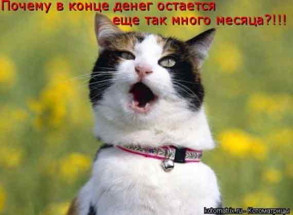 до зарплаты еще 3 дня,а какать уже нечем!