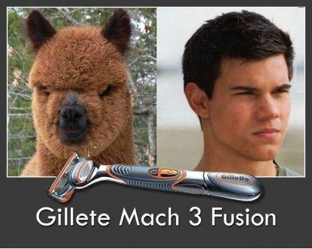 Из кого хочешь сделает человека