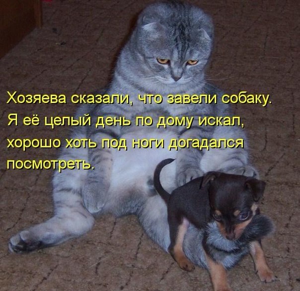 А я боялся испугаться.