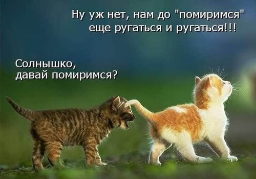 А может не надо, а?