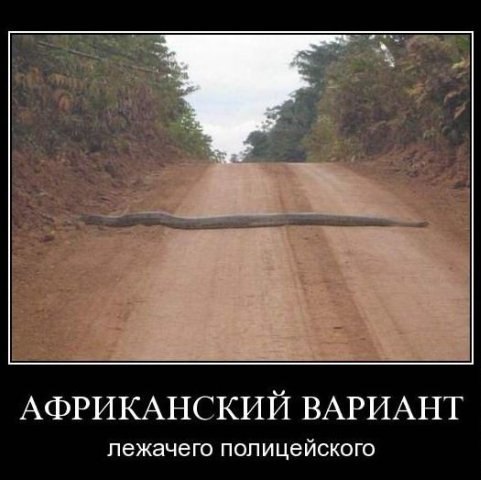 ползучий полицейский))