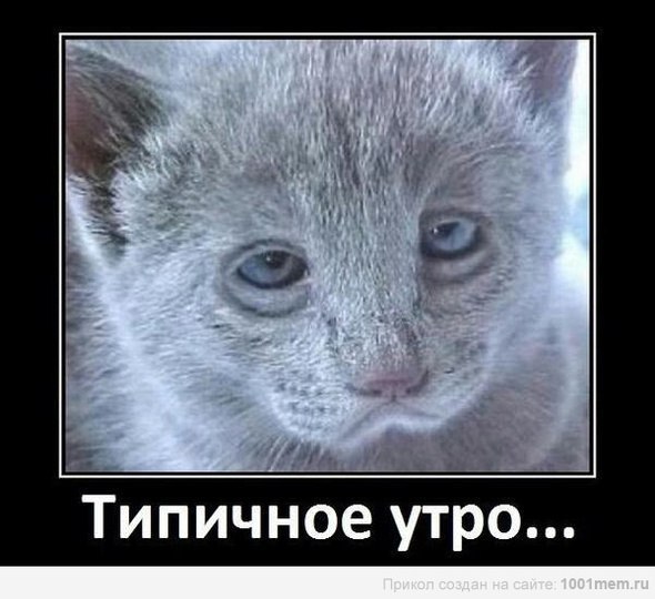 А че, уже утро?