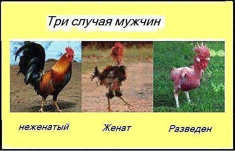 Очень точно!