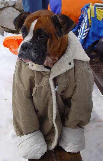 зима что-то холодновата