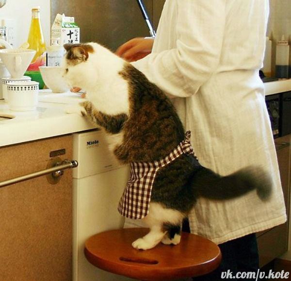 Я помогу с колбасой.