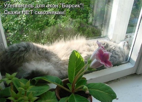 Утеплитель "Барсик"