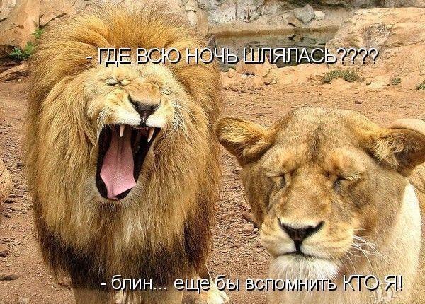 - я люблю тебя до сдёёёёз!... - оййййй, попала я!))
