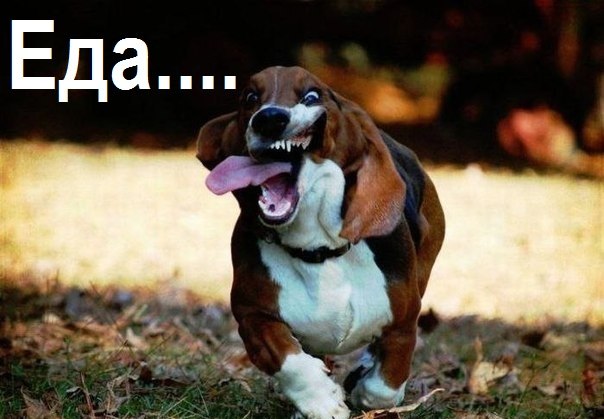 Тебе, похоже, хватит