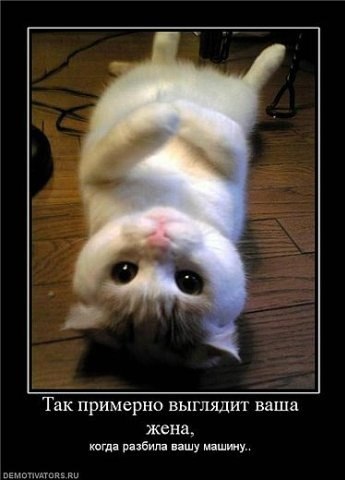 Ты прости меня и я тебя прощу.