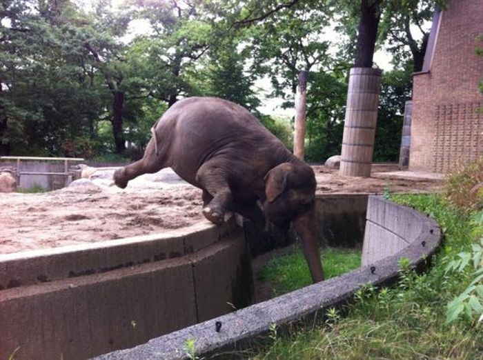 А на нейтральной полосе цветы - необычайной красоты...!!!