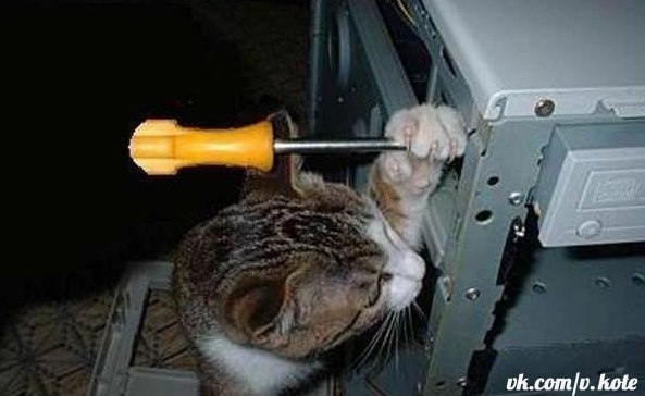 И как же эту мышеловку открыть? Завтрак остывает