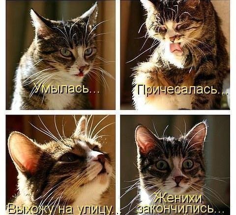 Долго собиралась