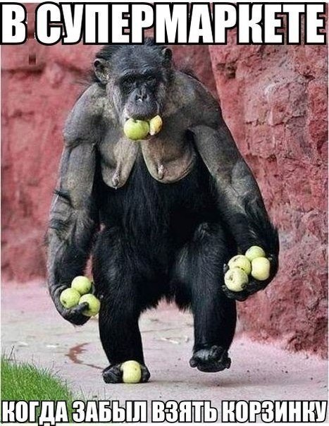 сказали: бери сколько унесёшь!