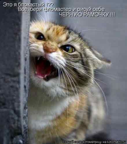 Блохастый тоже жрать хочет...!!!