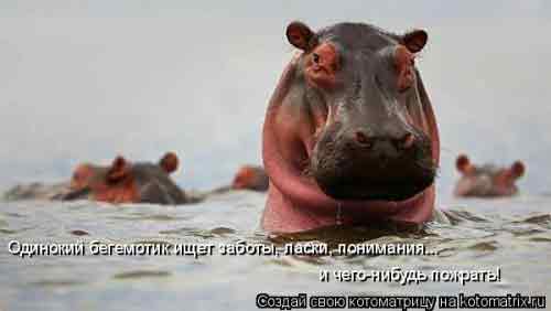 Света...! На фиг тебе жена...???