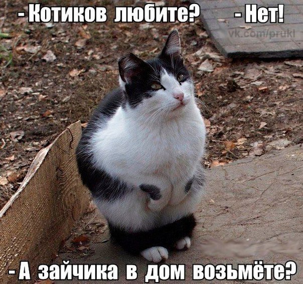 Котик? Неее. Зайчик? Нужно подумать...