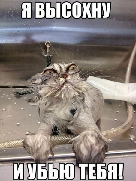 Дьявол проснулся!