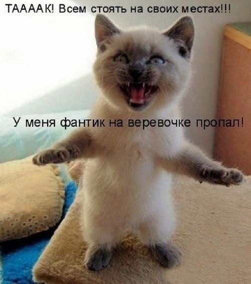 Пока не найду - вы никуда не уйдете!