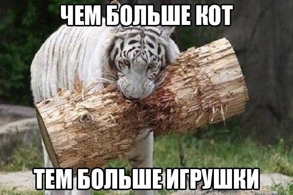 Скоро придется игрушечный дом строить....