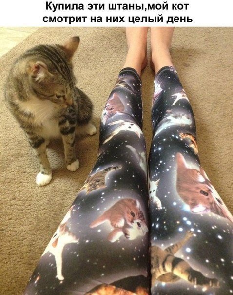 Он увидел красота, которую нам не понять.