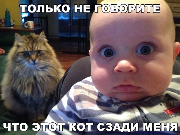 Прошу... Не пугайте...