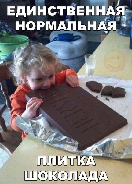 Единственная нормальная плитка шоколада